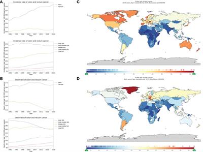 Global burden of major gastrointestinal cancers and its association with socioeconomics, 1990–2019